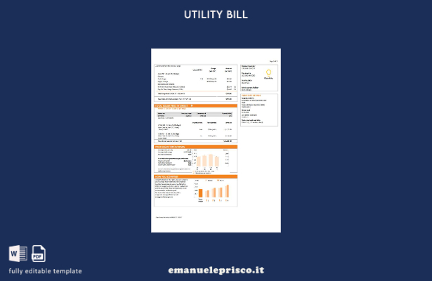 stile verificato Modello in formato word della bolletta dell'energia elettrica 1